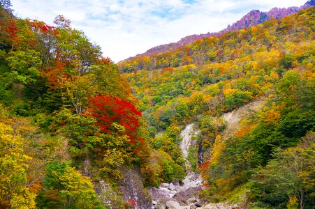 Valley autumn nagano photo