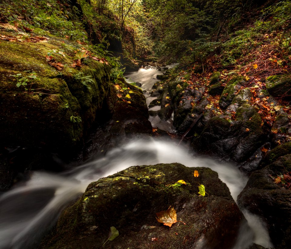 Sessa, Switzerl, Stream
