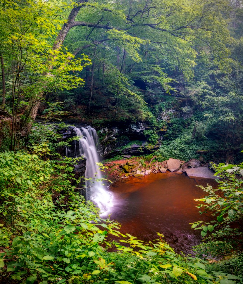 Ricketts glen state park, Benton, United states