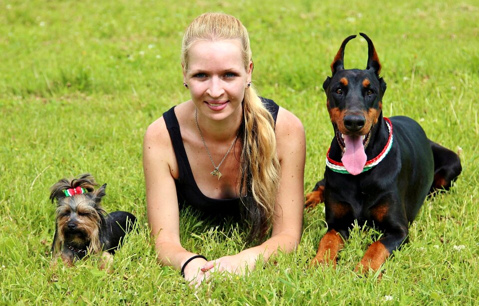 Doberman yorkie blonde woman