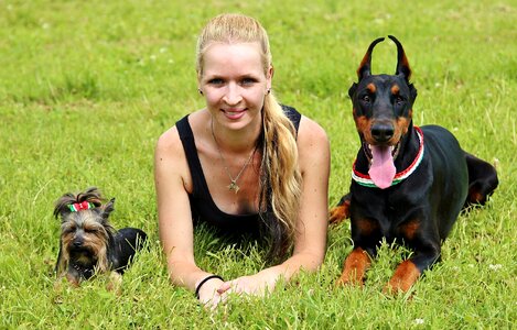 Doberman yorkie blonde woman photo