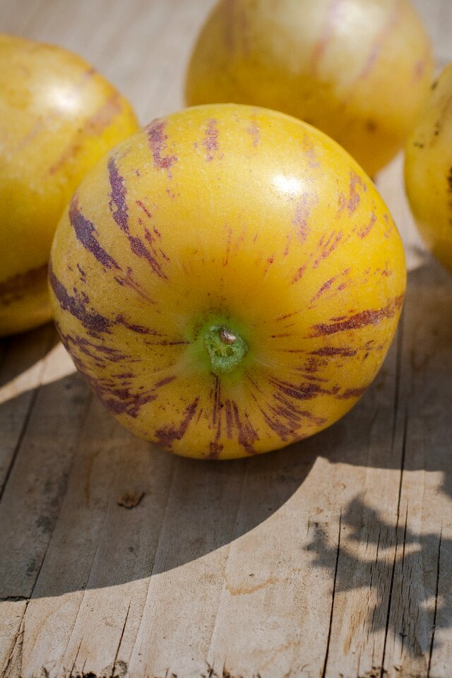 Harvest fruit agriculture