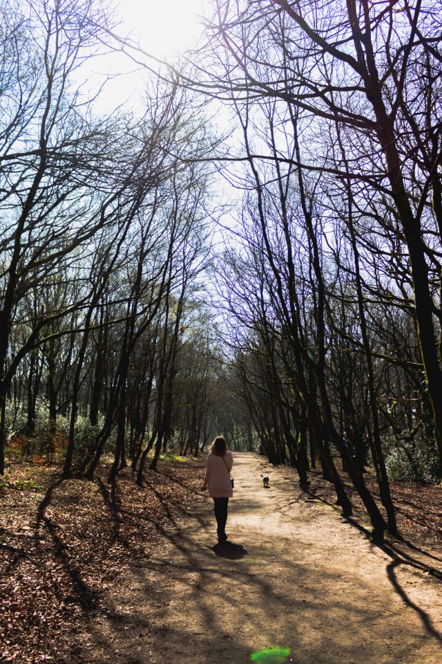 Rivington pike, Bolton, United kingdom photo