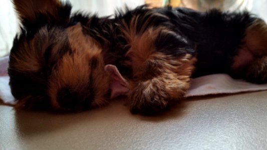 Missed, Loved, Nap time