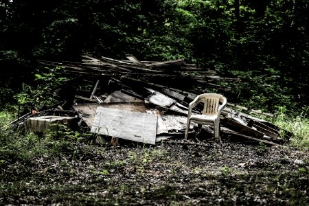 Dark, Seat, Trees