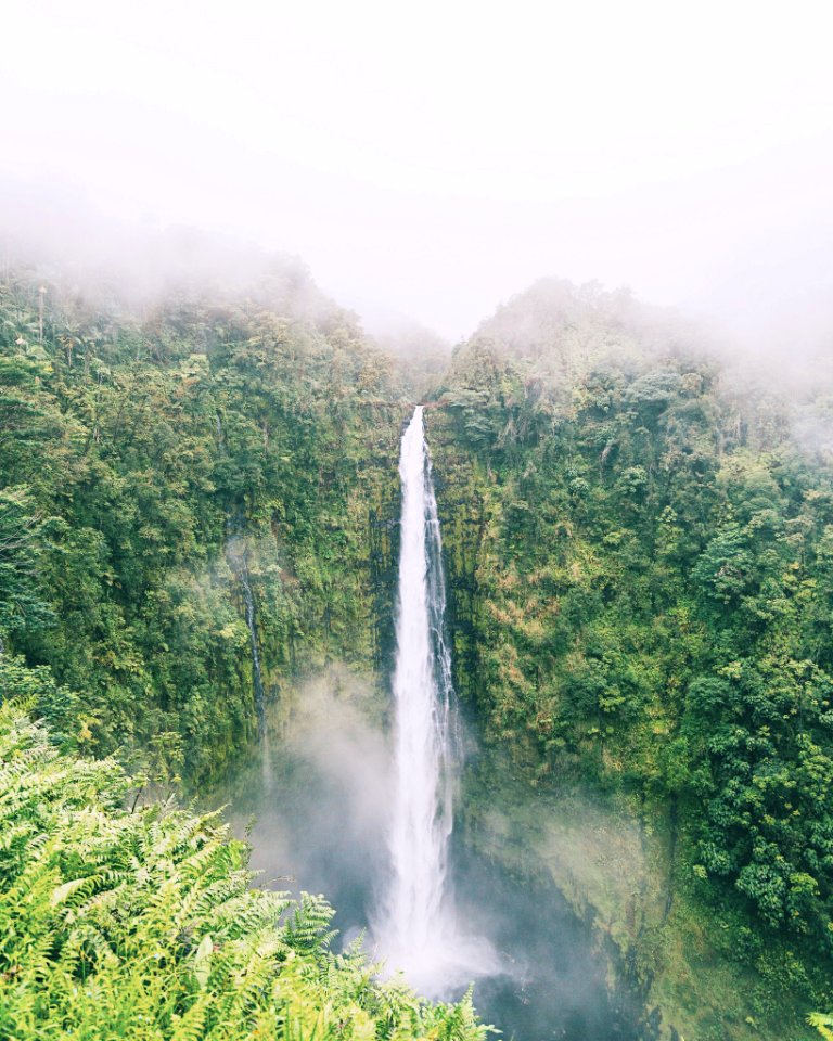 Akaka falls, United states, Wallpapers