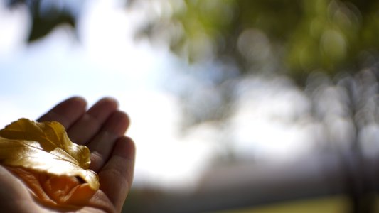 Hope, Depth of field, Blur