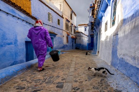 woman walking in the street with cat beside the house photo