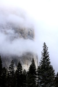 pine trees under clouds near rock mountains photo