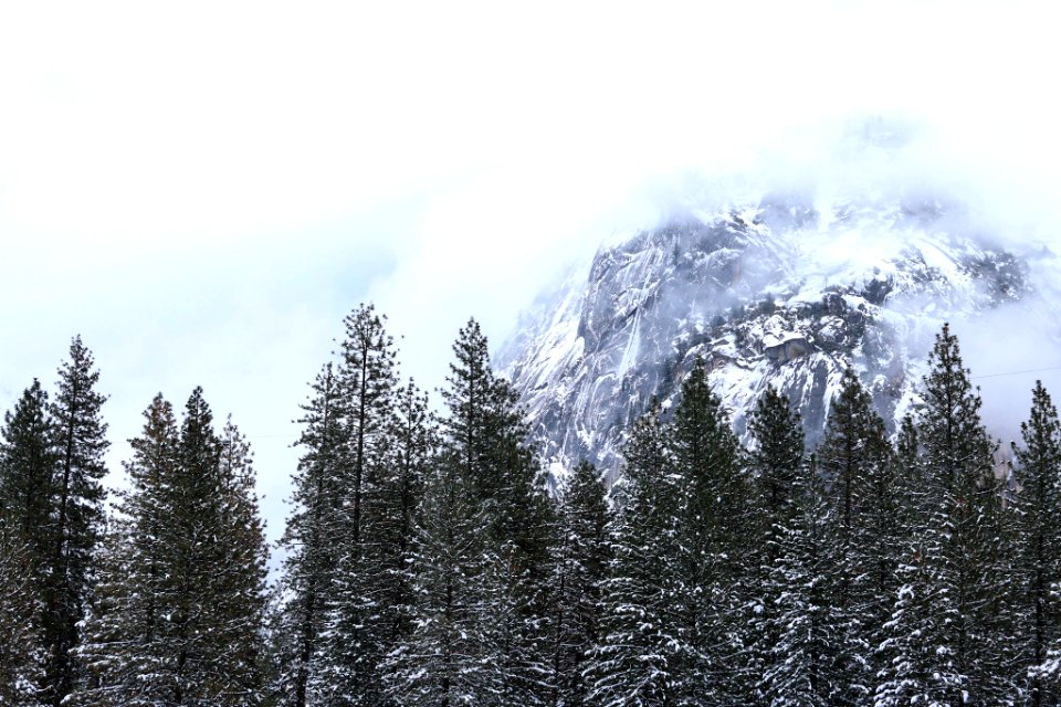 Yosemite national park, United states, Winter