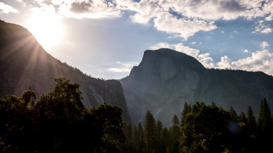 Yosemite national park, United states, Forest