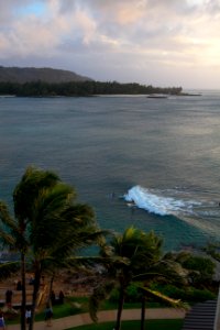 Turtle bay resort, United states, Wave photo