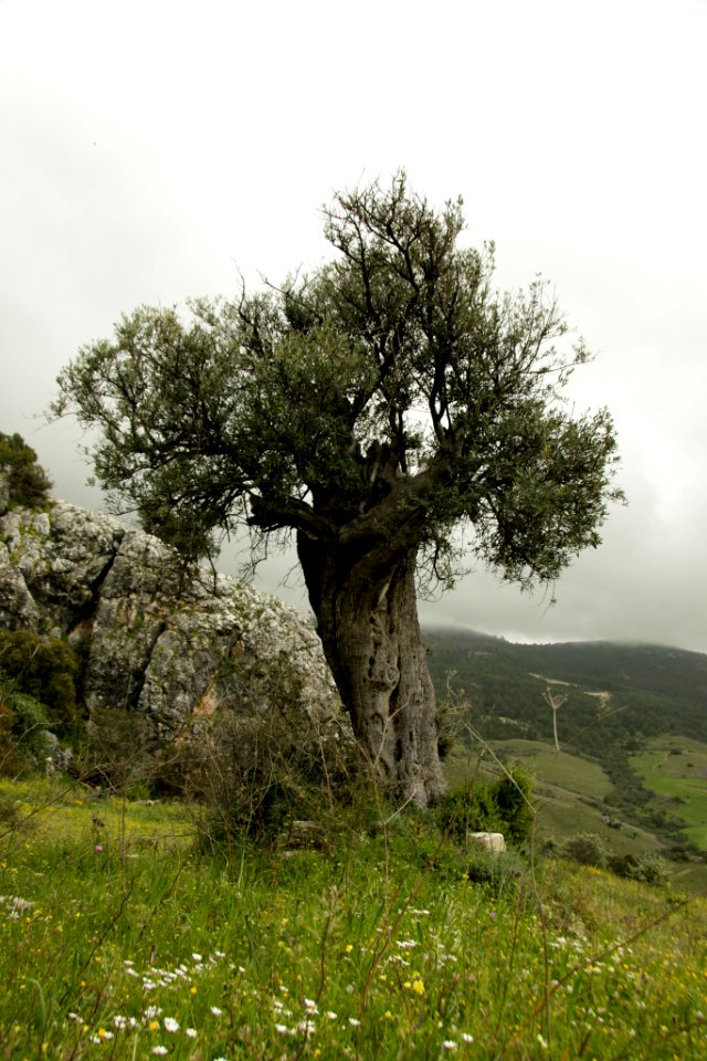 Area, Paphos, Climbing