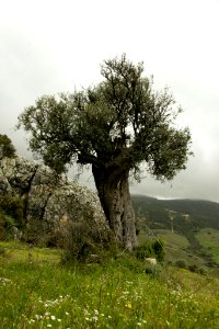 Area, Paphos, Climbing photo