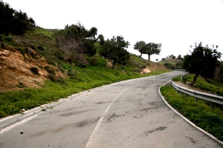 Car, Animals, Food
