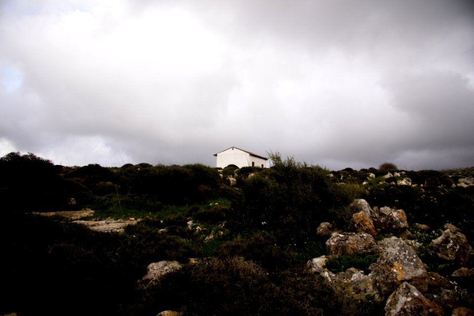 Food, Paphos, Cyprus