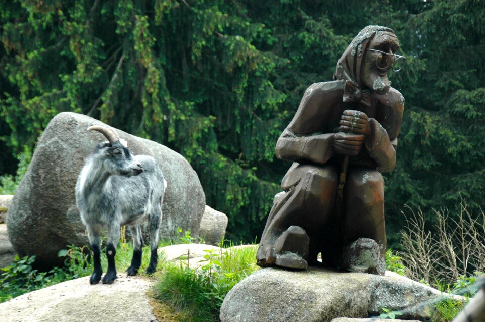 Stones mountain goat nature