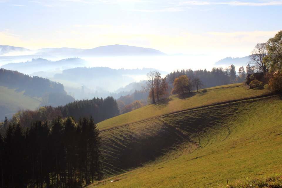 Black forest, Germany