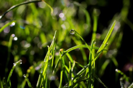 Bozeman, United states, Macro