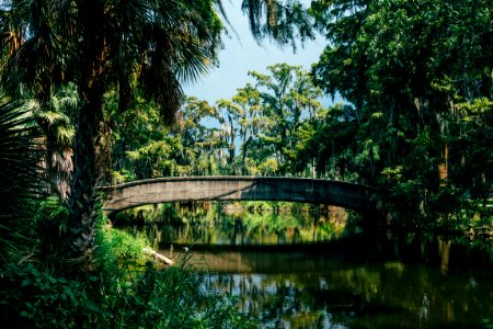 brown concrete bridge near green trees during daytime photo photo