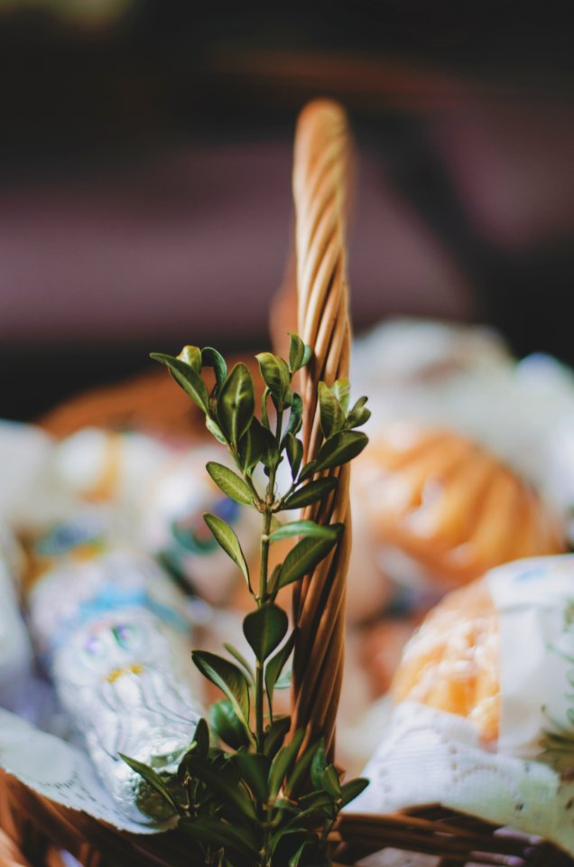 Boxwood, Easter, Basket