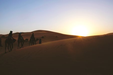 silhouette of three person riding on camels while passing through desert photo