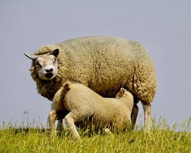 Young mother child
