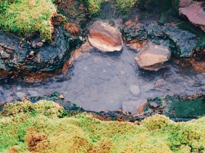 Moss, Icel, Rock