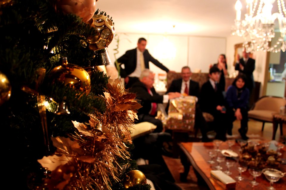 Tree, Christmas, Family