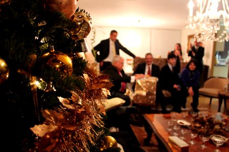Tree, Christmas, Family