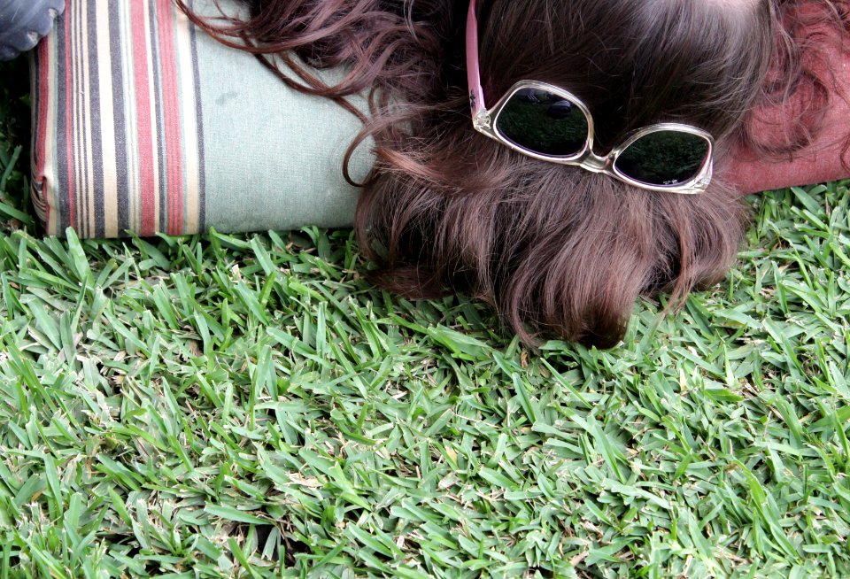 Nature, Sunglasses, Grass