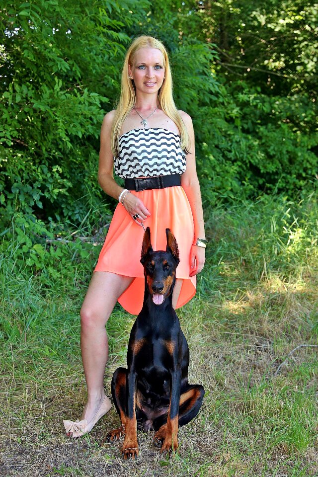 Dogs pretty model