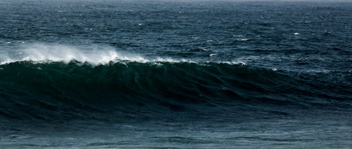 Dolphin coast, South africa