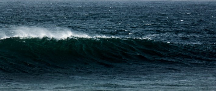 Dolphin coast, South africa photo