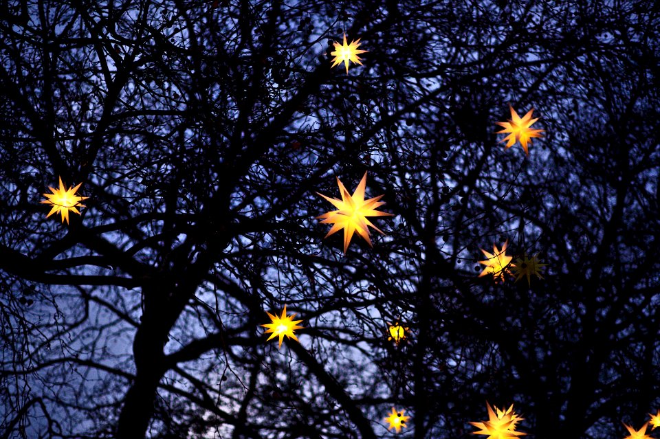 yellow pendant lights on tree