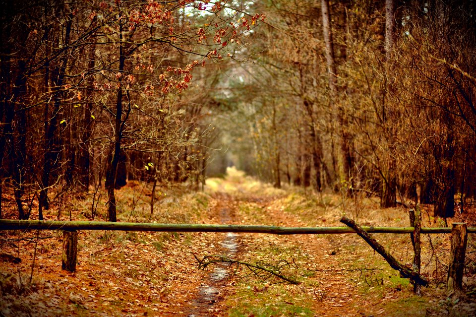 Winnerstraat, Hechteleksel, Belgium