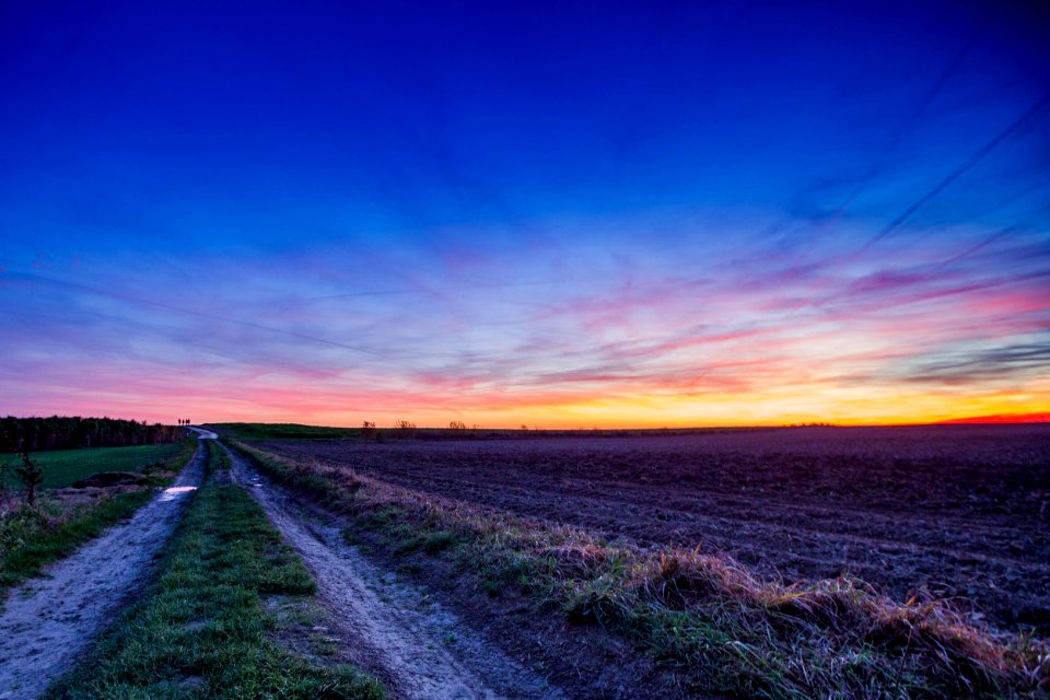 Sartrisbart, Belgium, Field