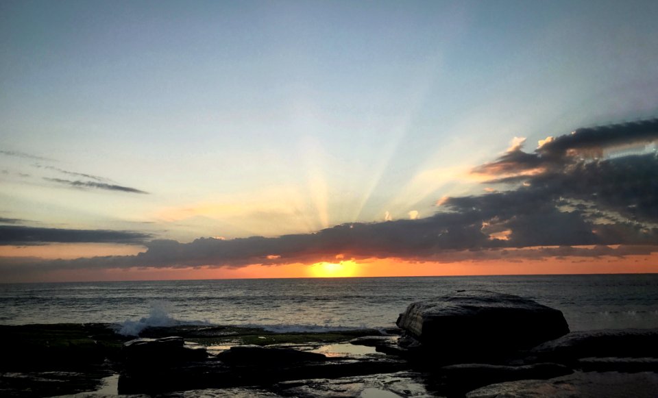 Whale beach, New south wales, Australia