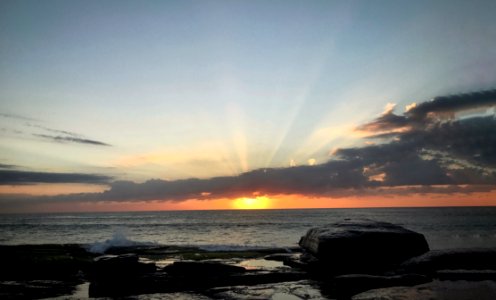 Whale beach, New south wales, Australia