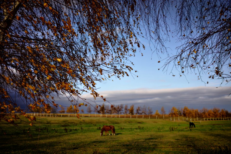 Sartrisbart, Belgium, Sky