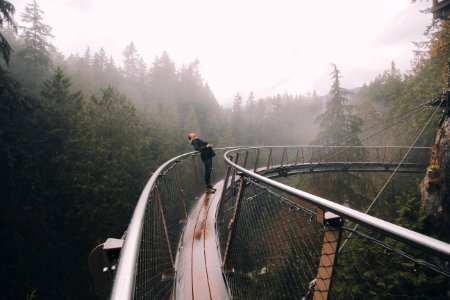 person leaning on bridge beside forest photo