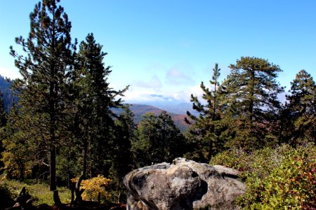 Sequoia national park, United states, Scape photo