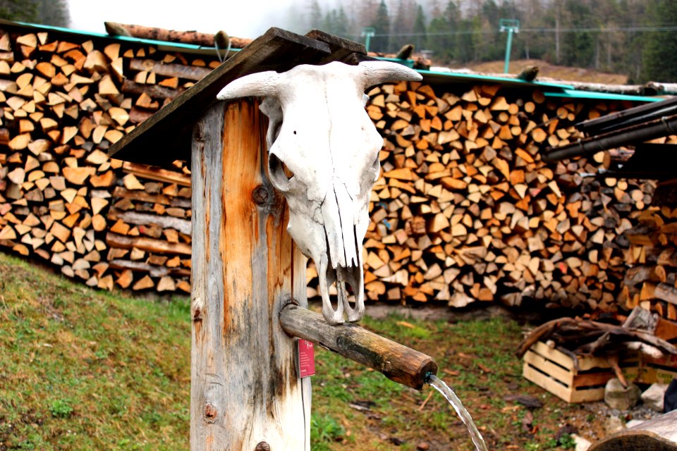 Ehrwald, Austria, Wood