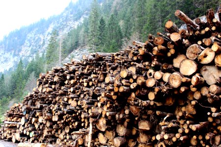 Ehrwald, Austria, Wood