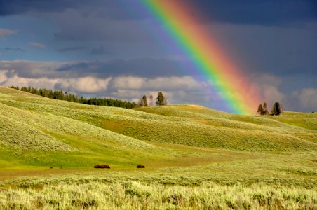 rainbow near green grass ranges photo