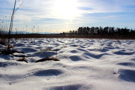 Osterseen, Iffeldorf, Germany photo