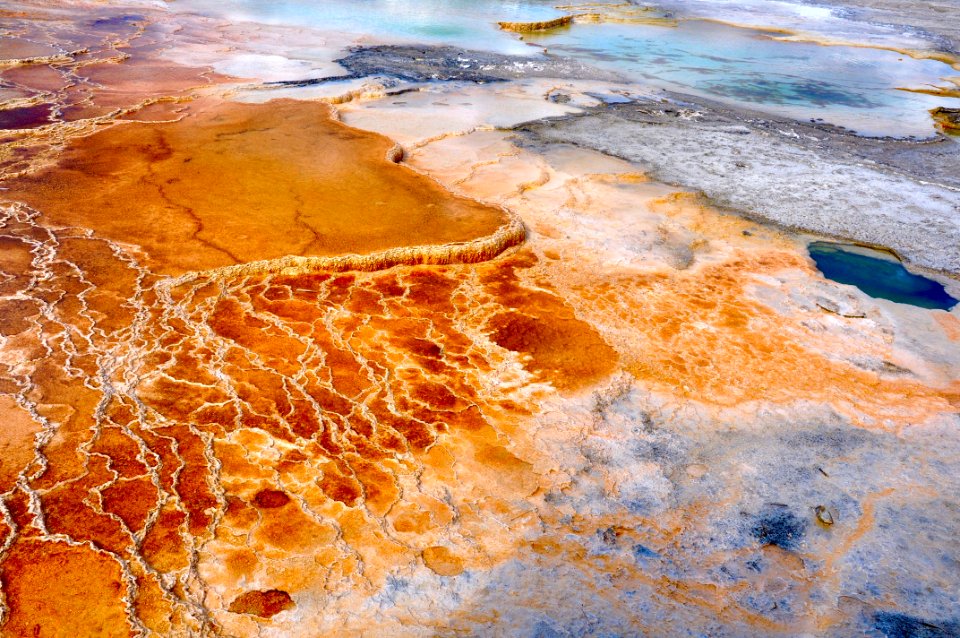 Yellowstone national park, United states, Gyser