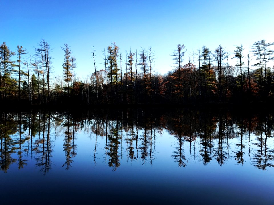 Southborough, United states, Reflection
