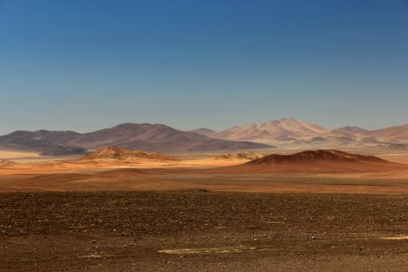 Chile, Atacama region, Lonely photo