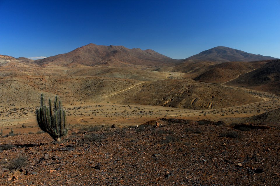 Los colorados, Chile, Heat